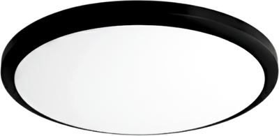 Потолочный светильник Truenergy 11603 -