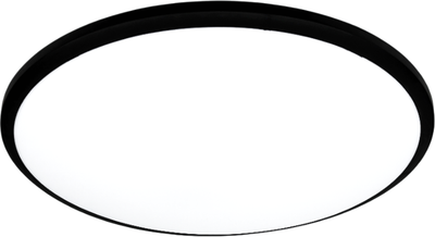 Потолочный светильник Truenergy 11605 -