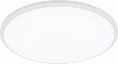 Потолочный светильник Truenergy 11607 - 