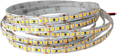 Светодиодная лента Truenergy 16563 - 
