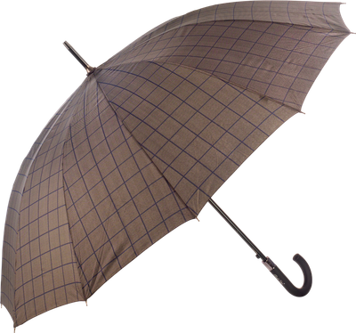 Зонт-трость RST Umbrella 1908-C1 -