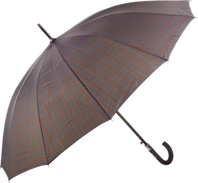 Зонт-трость RST Umbrella 1908-C2 -