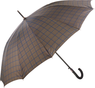 Зонт-трость RST Umbrella 1908-C3 -