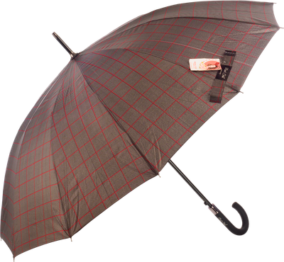 Зонт-трость RST Umbrella 1908-C4 -