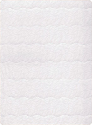 

Одеяло, Монгольской Верблюд Silk 300 VRMV 140x205