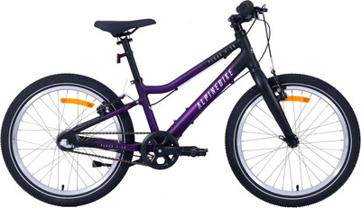 Детский велосипед Alpinebike Pegas 3-20 / TSRD00174601 (фиолетовый космос) - 