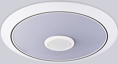 

Потолочный светильник, FZ710 WH