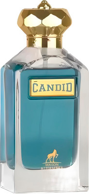Парфюмерная вода Maison Alhambra So Candid Pour Homme (100мл) - 
