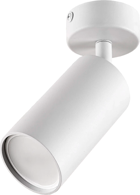 Спот Truenergy 21330 (с лампой General Lighting 661462) -