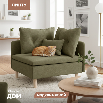 

Модуль мягкий, Линту Lintu Rog