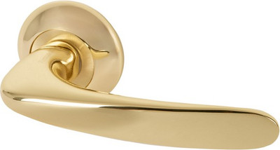 

Ручка дверная, R.LD54.Pava GP/SG-5