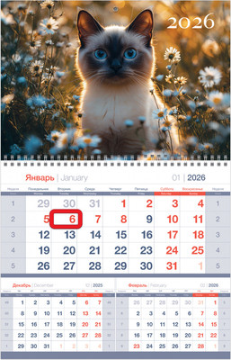 Календарь настенный BG Кот в цветах / 380927 (2026г) - 