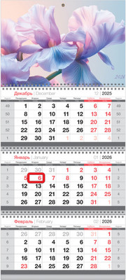Календарь настенный BG Лепестки / 380954 (2026г) - 