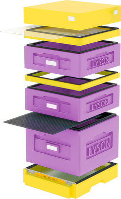 Улей Lyson Дадан На 10 Рамок / W1008PU (фиолетовый/желтый) -