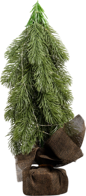 

Светодиодное дерево, Пихта 10487822