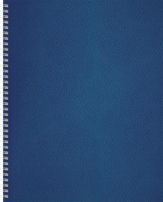 Тетрадь BG  А4 / Т4гр_бв96к_12345 (96л) - 