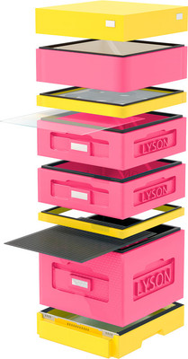 Улей Lyson Дадан На 10 Рамок / WK267P (розовый/желтый) - 