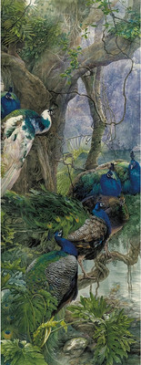 

Фотообои листовые, Животные и Птицы 57