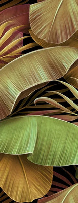 

Фотообои листовые, Знойные тропики 50