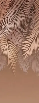 

Фотообои листовые, Пальмовые листья 80