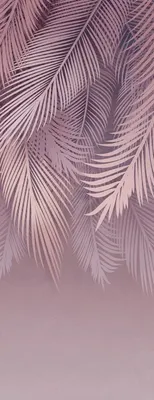 

Фотообои листовые, Пальмовые листья 81