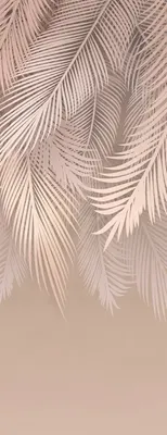 

Фотообои листовые, Пальмовые листья 82