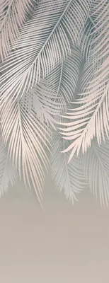 

Фотообои листовые, Пальмовые листья 83