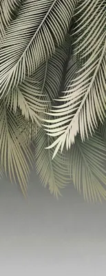 

Фотообои листовые, Пальмовые листья 84