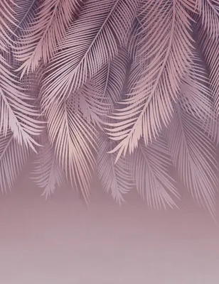 

Фотообои листовые, Пальмовые листья 81