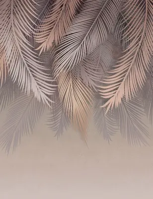 

Фотообои листовые, Пальмовые листья 79