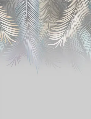

Фотообои листовые, Пальмовые листья 78