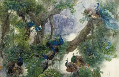 

Фотообои листовые, Животные и Птицы 57