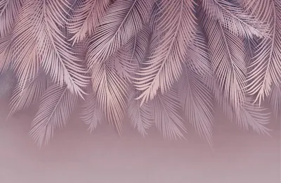

Фотообои листовые, Пальмовые листья 81