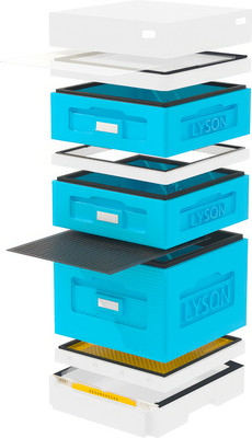 Улей Lyson Дадан На 10 Рамок / WK10W (синий/неокрашенный) -