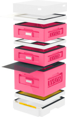 Улей Lyson Дадан На 10 Рамок / WK10PW (розовый/неокрашенный) -