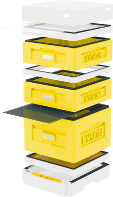 Улей Lyson Дадан На 10 Рамок / WK10YW (желтый/неокрашенный) -