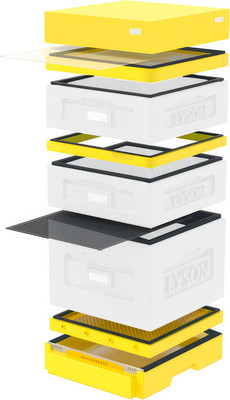 Улей Lyson Дадан На 10 Рамок / WKW10Y (неокрашенный/желтый) -