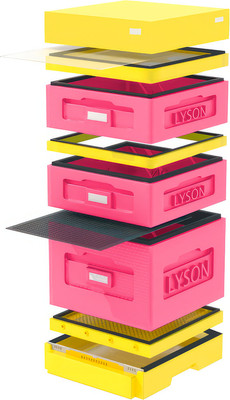 Улей Lyson Дадан На 10 Рамок / WK10P (розовый/желтый) -