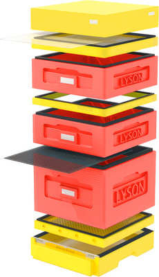 Улей Lyson Дадан На 10 Рамок / WK10RD (красный/желтый) -