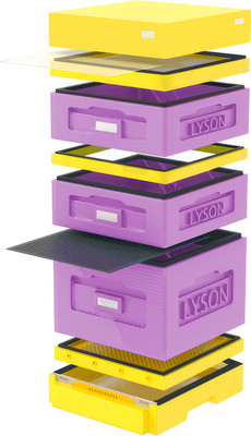 Улей Lyson Дадан На 10 Рамок / WK10PU (фиолетовый/желтый) -