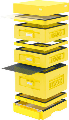 Улей Lyson Дадан На 10 Рамок / WKY10Y (желтый/желтый) -