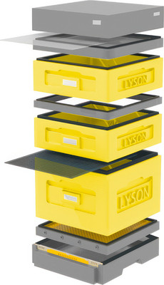 Улей Lyson Дадан На 10 Рамок / WKG10Y (желтый/серый) - 