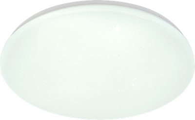 Потолочный светильник ESCADA 10213/SG LED (белый) - 