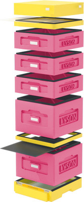 Улей Lyson Дадан На 10 Рамок / WKK9P (розовый/желтый) - 