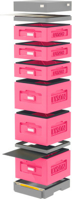 Улей Lyson Дадан На 10 Рамок / WK8PW (розовый/неокрашенный) -