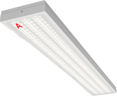 Панель светодиодная Wolta ДПО13-54-142-5К -