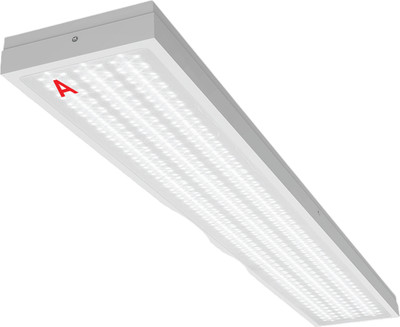 Панель светодиодная Wolta ДПО13-54-142-6К -