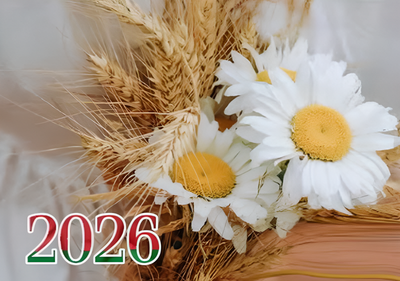 Календарь настенный Витебская областная типография Ромашки. Квартальный на 2026 год / 22с623 - 