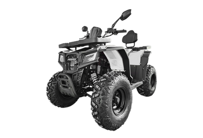 Квадроцикл Progasi RaceJumper 200 SE (Nardo grey) -