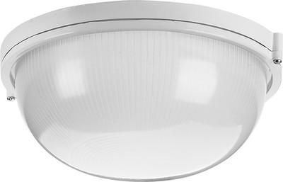 

Светильник ЖКХ, ДПБ03-100-001